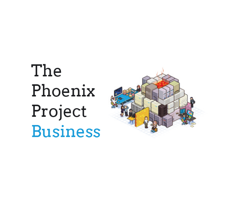 The Phoenix Project for business