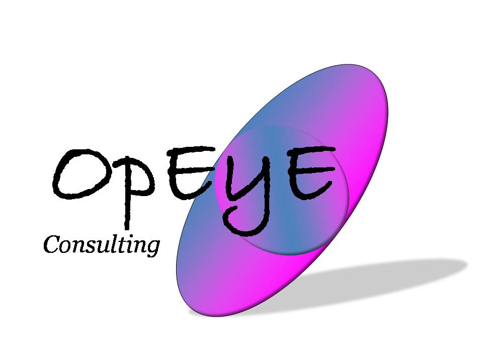 OpEye Consulting OpEye Consulting